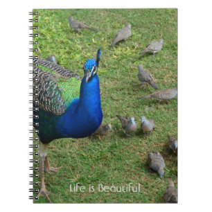 Peacock Birds Kauai (my photography) Notebook