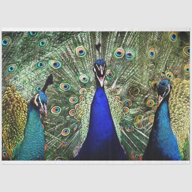 Peacock Birds Wall Art Decoupage Tissue Paper (Front)
