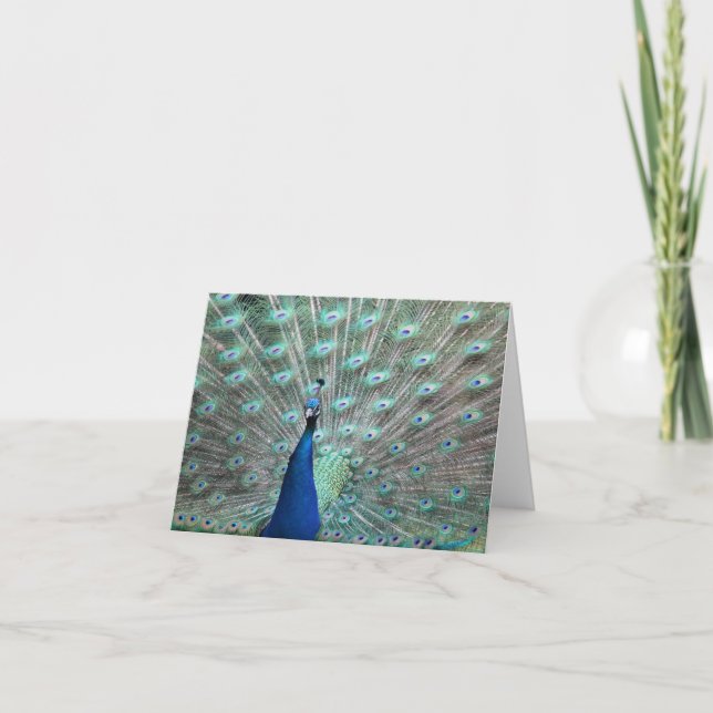 Peacock Blank Note cards (Front)