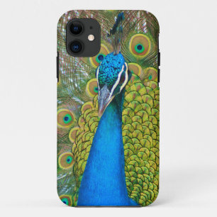 Peacock Blue Head with and Colourful Tail Feathers iPhone 11 Case