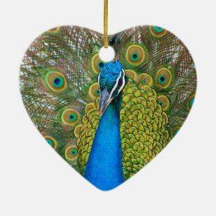 Peacock Blue Head with and Colourful Tail Feathers Ceramic Tree Decoration