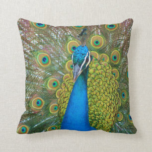 Peacock Blue Head with and Colourful Tail Feathers Cushion