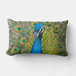 Peacock Blue Head with and Colourful Tail Feathers Lumbar Cushion