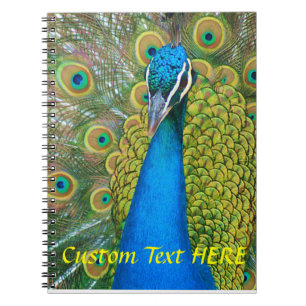 Peacock Blue Head with and Colourful Tail Feathers Spiral Notebook