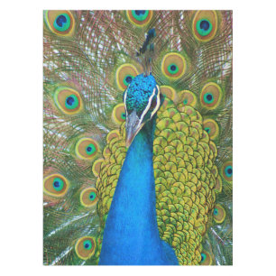Peacock Blue Head with and Colourful Tail Feathers Tablecloth