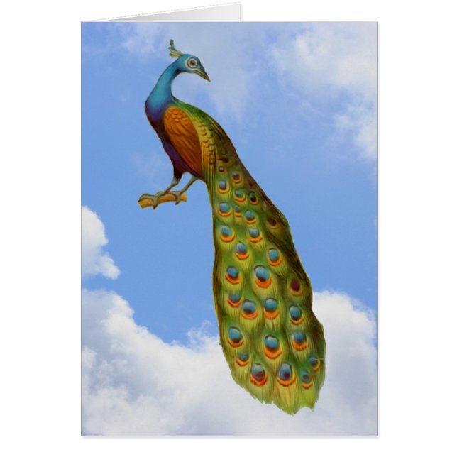 Peacock Blue Sky Clouds Animal Card (Front)