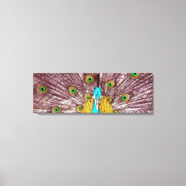 peacock bright canvas print (Front)