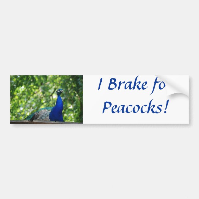 Peacock Bumper Sticker (Front)