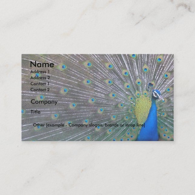 Peacock Business Card (Front)