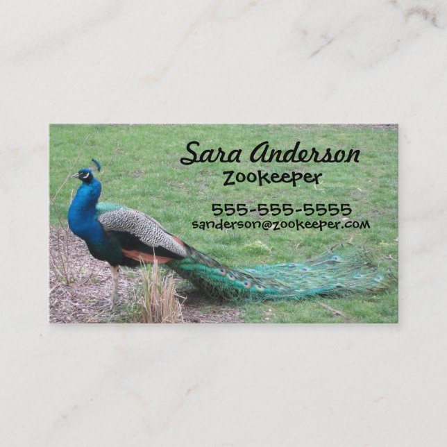 Peacock Business Cards (Front)