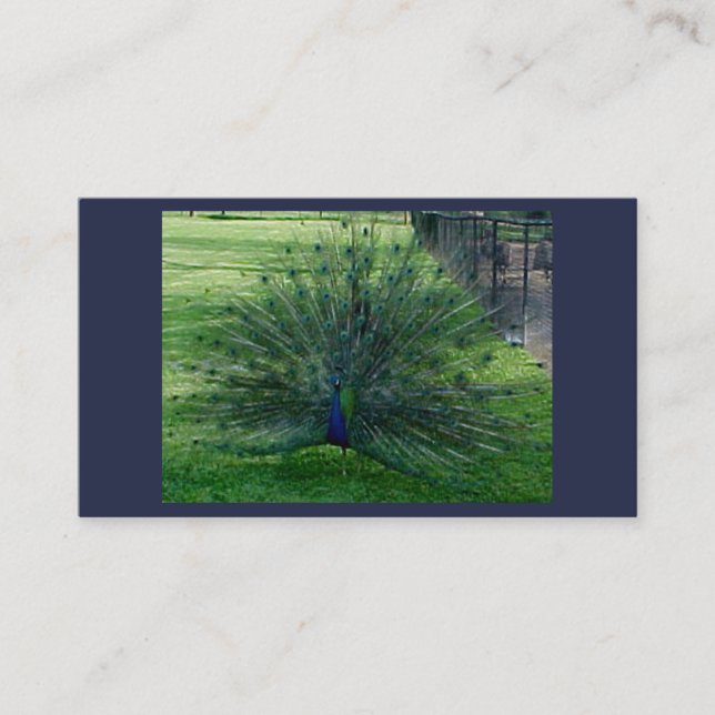 Peacock Business Cards (Front)