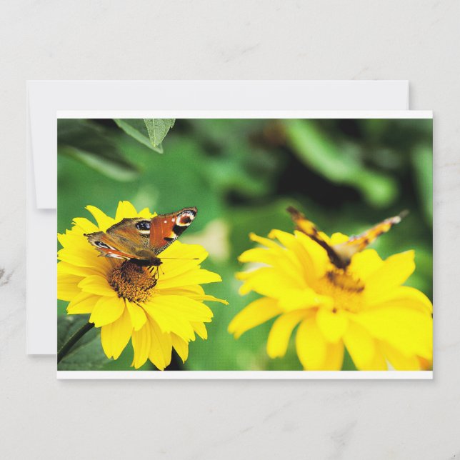 Peacock butterflies - Invitation (Front)