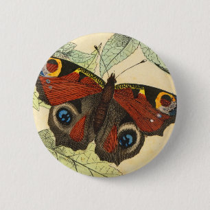 Peacock Butterfly 6 Cm Round Badge