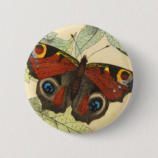 Peacock Butterfly 6 Cm Round Badge