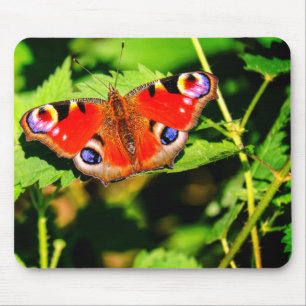 Peacock butterfly, butterfly, leaves mouse pad