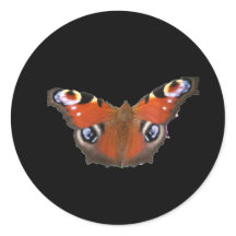 Peacock Butterfly By KABFA