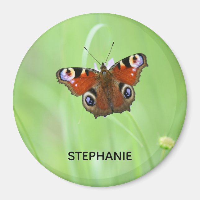 Peacock Butterfly Magnet (Front)