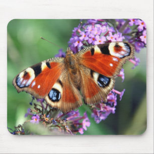 Peacock Butterfly Mousepad
