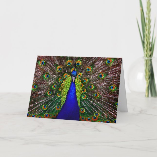 Peacock Card/ Invitation (Front)