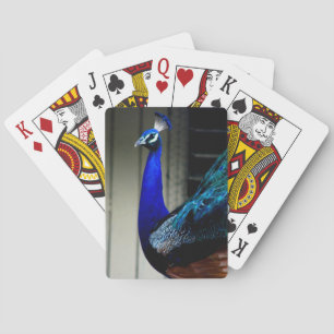 Peacock Classic Playing Cards
