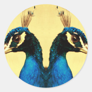peacock classic round sticker