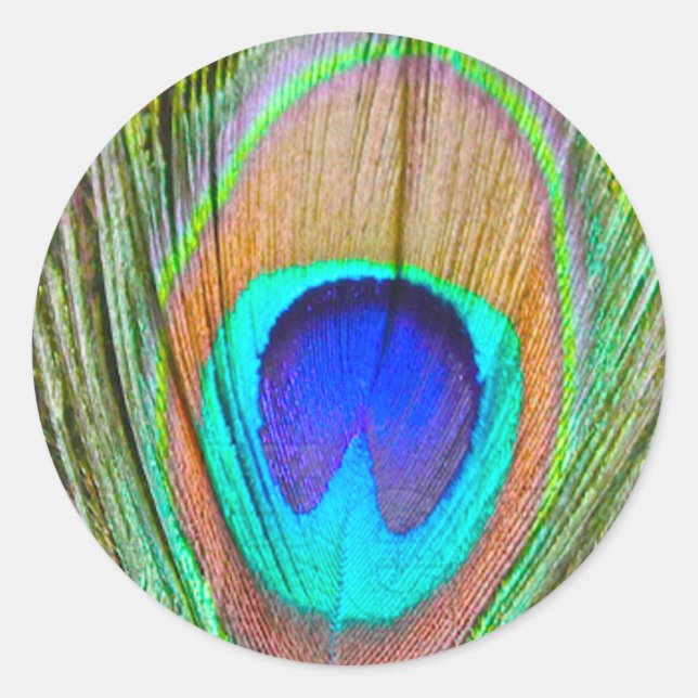 Peacock Classic Round Sticker (Front)