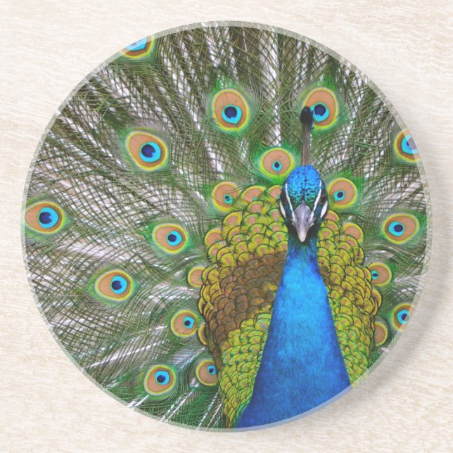 Peacock Coaster (Front)