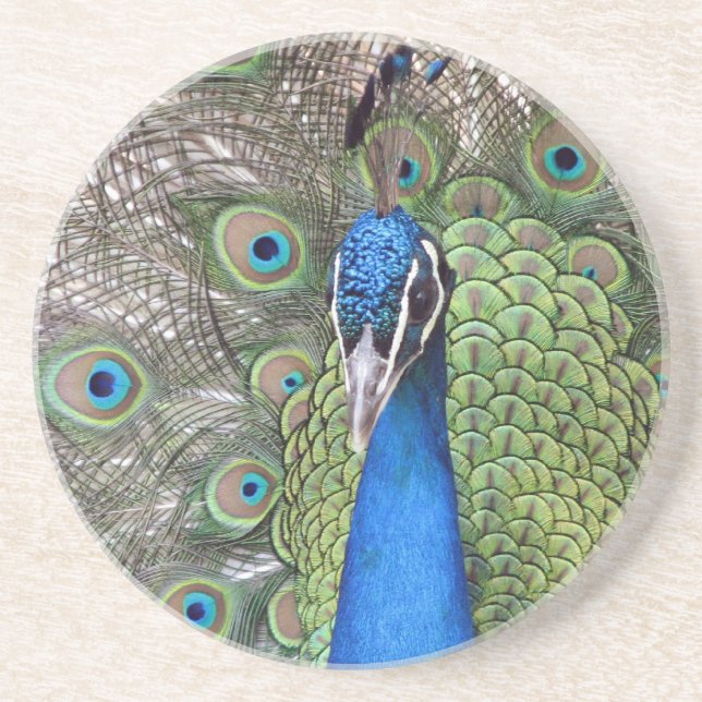 Peacock Coasters (Front)