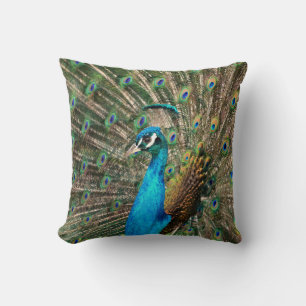 Peacock Cushion