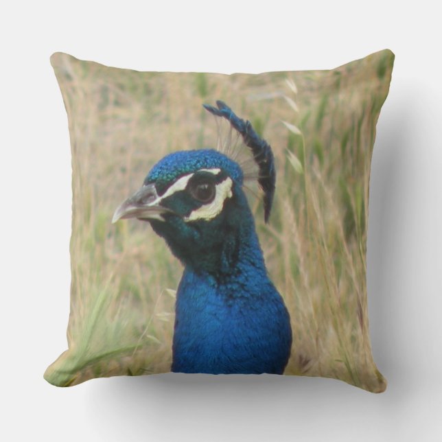 Peacock Cushion (Front)