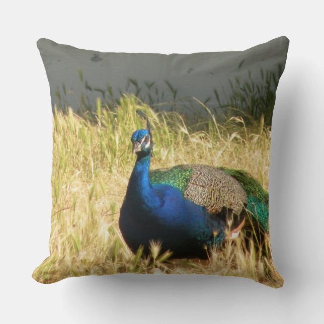 Peacock Cushion (Front)