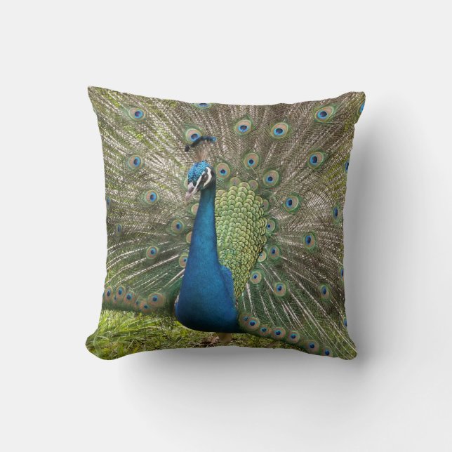 Peacock Cushion (Front)