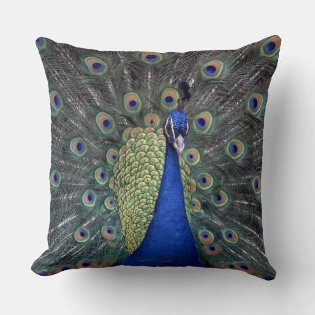 Peacock Cushion (Front)