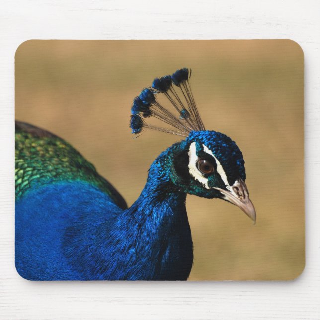 Peacock customisable mousemats & mousepad (Front)