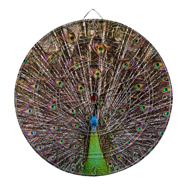 Peacock Dartboard (Front)