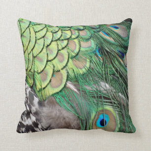 Peacock Delight Cushion