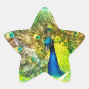 Peacock Digital Painting Star Sticker