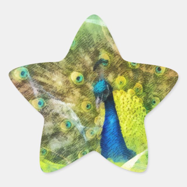 Peacock Digital Painting Star Sticker (Front)