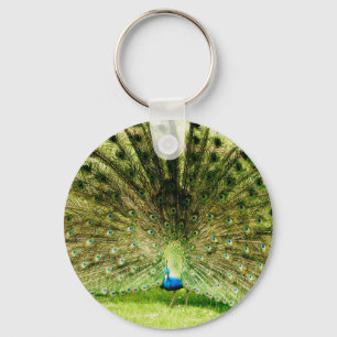Peacock Display Colors Key Ring