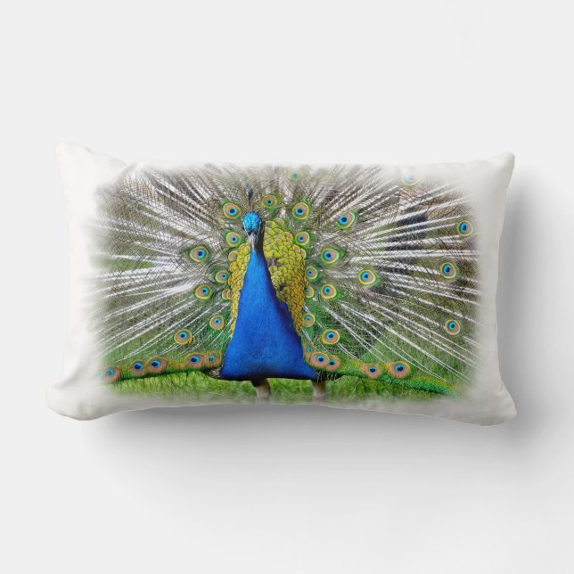 Peacock displaying tail feathers T-Shirt Lumbar Cushion (Front)