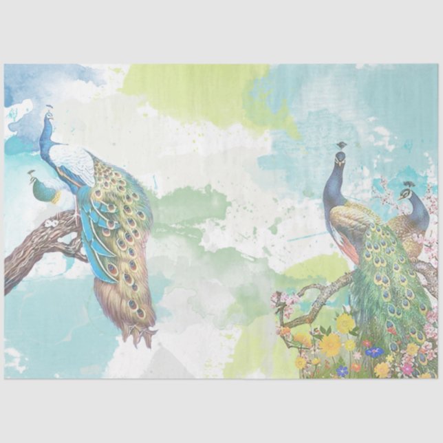 Peacock Ephemera 1 Tissue Paper (Front)