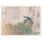 Peacock Ephemera Decoupage Paper