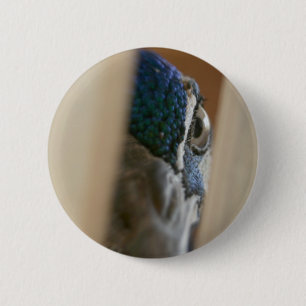 Peacock eye through wooden gate slats 6 cm round badge