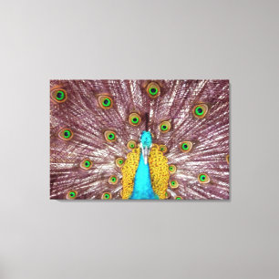 peacock faethers canvas print
