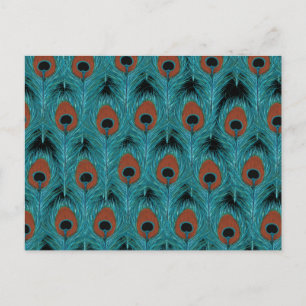 Peacock Feather Art Peacocks Feathers Artwork Postcard