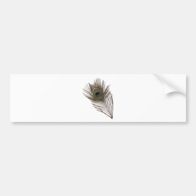 Peacock feather bumper sticker (Front)
