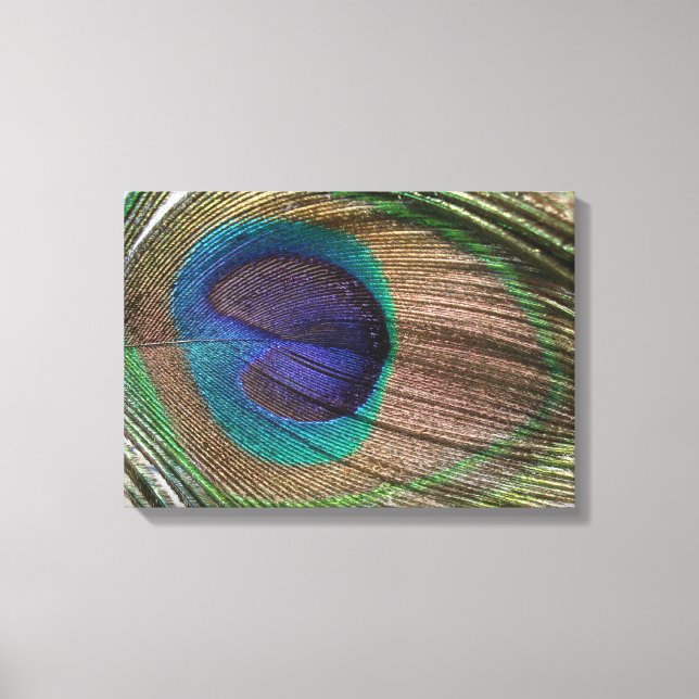 peacock feather canvas print (Front)