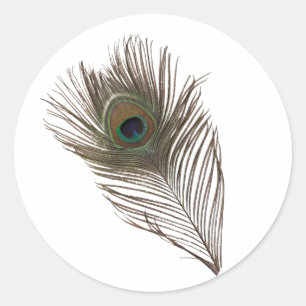 Peacock feather classic round sticker
