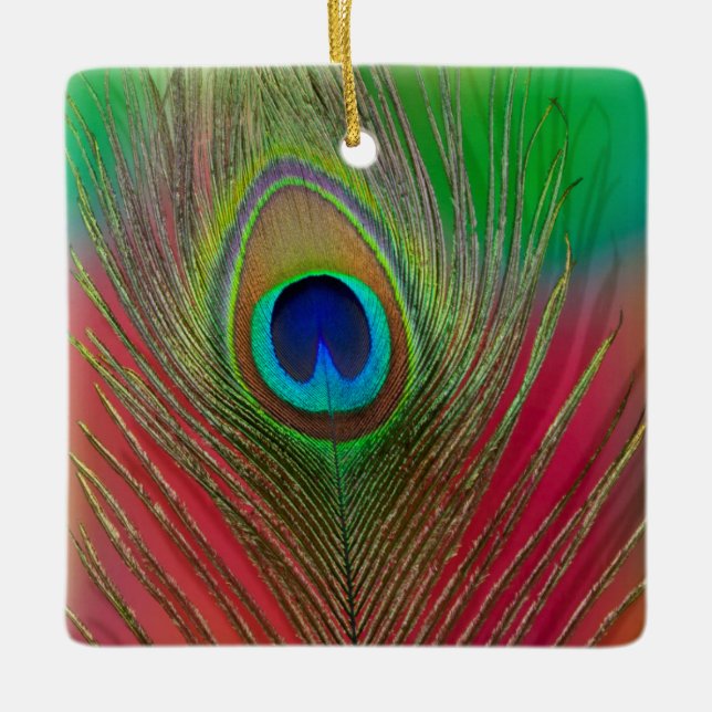 Peacock feather close-up ceramic ornament (Front)