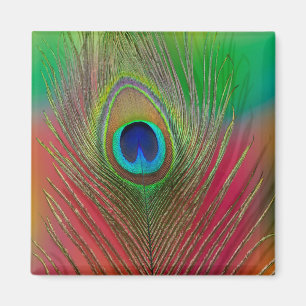 Peacock feather close-up magnet